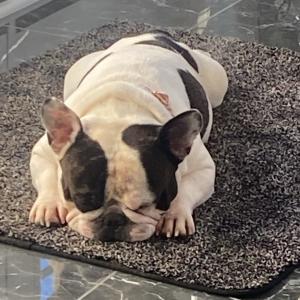 收聽Tony Hubun的euphoria (Explicit)歌詞歌曲