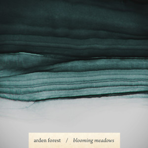 Listen to Evening Love Song song with lyrics from Arden Forest