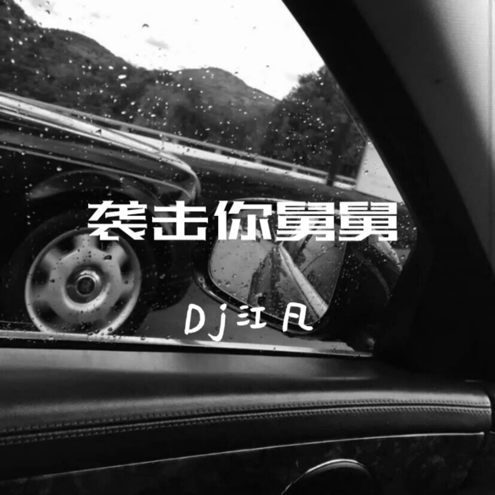 袭击你舅舅 (DJ版)