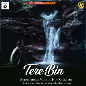 Album Tere Bin from Ansari Mohsin
