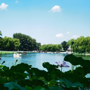 Listen to 秋忆海（The Sea） (完整版) song with lyrics from 李佳龙Jog