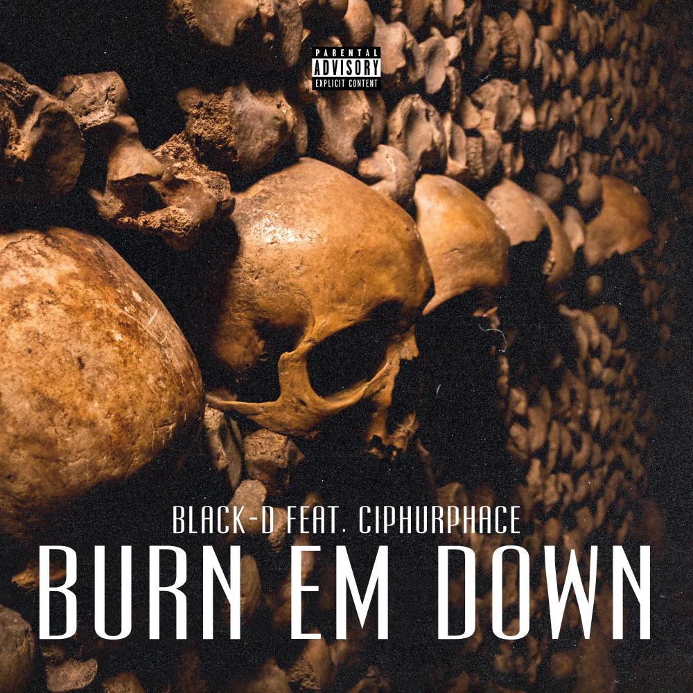 Burn Em Down (feat. Ciphurphace) (Explicit)