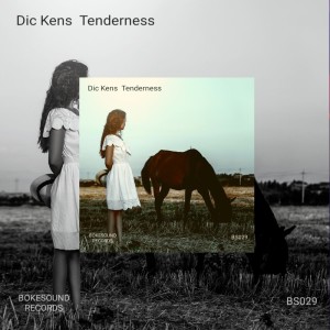 Dengarkan lagu Tenderness (Organicum Remix) nyanyian Dic Kens dengan lirik