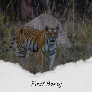 Dengarkan First Boney lagu dari Trevon Scar dengan lirik