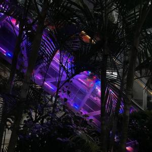 收聽Stack$的Real Life (Explicit)歌詞歌曲