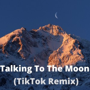 Listen to Talking To The Moon - Tik-Tok song with lyrics from DJ Tik Tok Latin