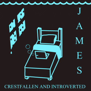 Dengarkan lagu Crestfallen and Introverted nyanyian James dengan lirik