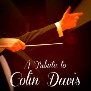 收聽Various Artists的Minuet in D Major (From Divertimento No. 17 in D Major, K.334)歌詞歌曲