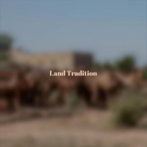 Various的专辑Land Tradition