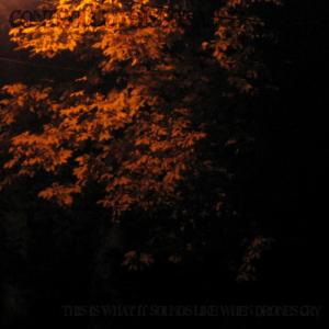 ดาวน์โหลดและฟังเพลง More Of What I Long For พร้อมเนื้อเพลงจาก Controlled Dissonance