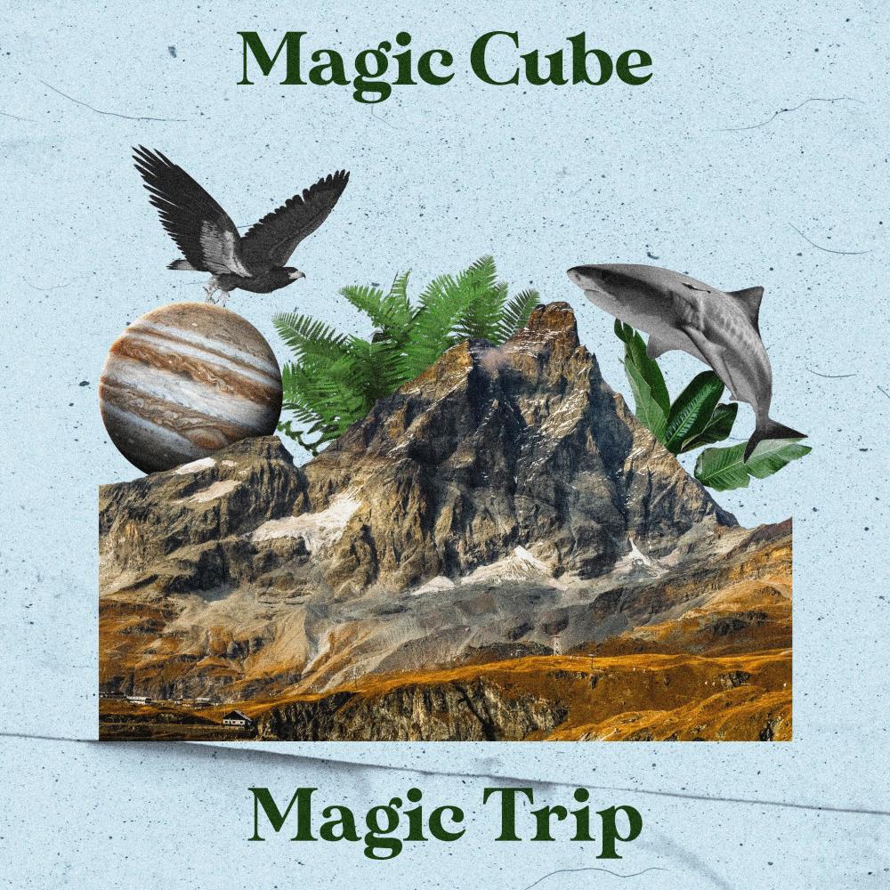 Magic Trip