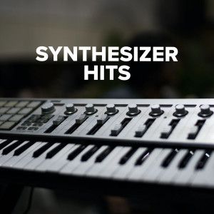 Various Artists的專輯Synthesizer Hits