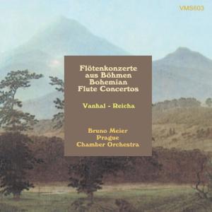 ดาวน์โหลดและฟังเพลง Flute Concerto No. 1 in A Major: I. Allegro moderato in A Major: I. Allegro moderato พร้อมเนื้อเพลงจาก Prague Chamber Orchestra