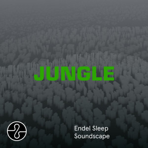 Endel的專輯JUNGLE (Sleep Soundscape)