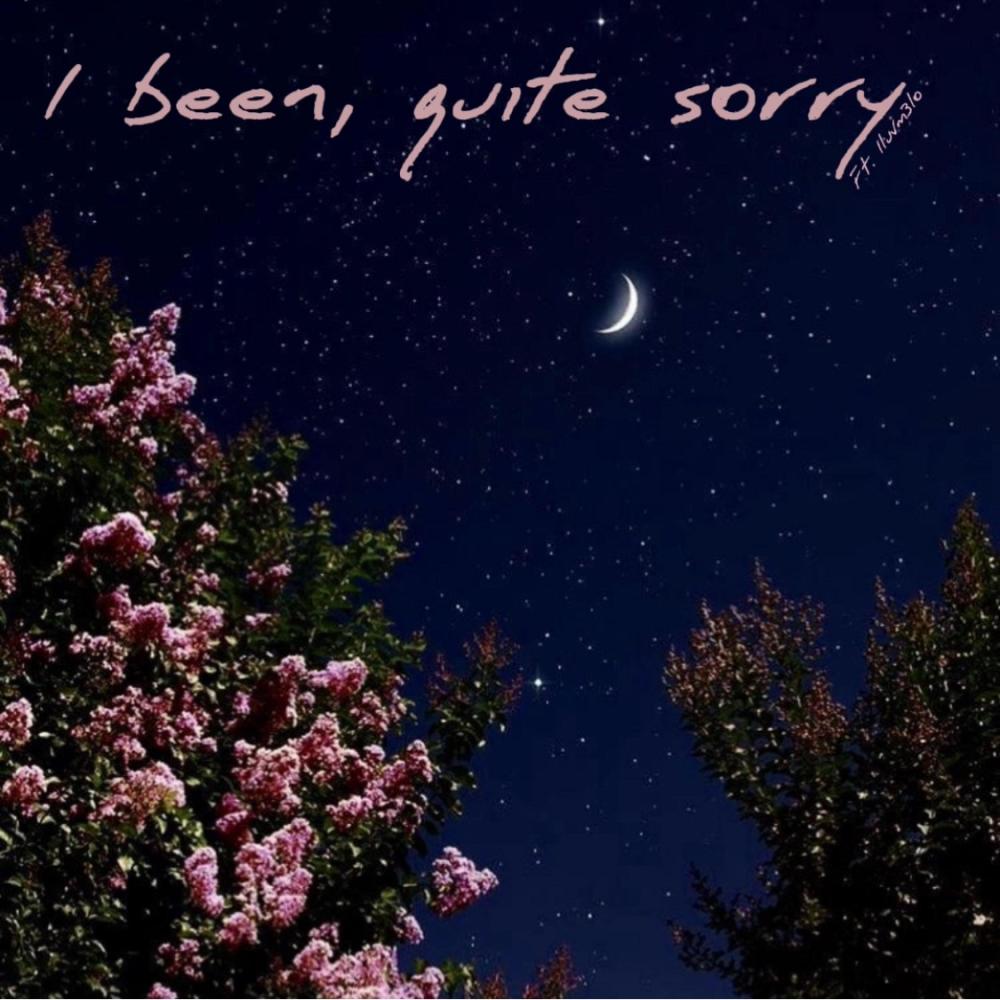 I been, quite sorry (feat. Iluvm3lo)