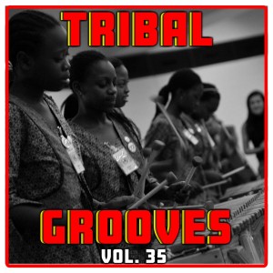 Umar M Sharif的专辑Tribal Grooves Vol. 35