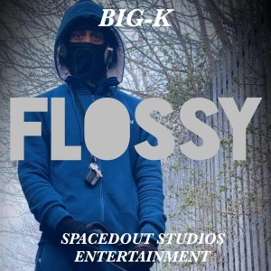 Listen to Flossy (Explicit) song with lyrics from BIG-K