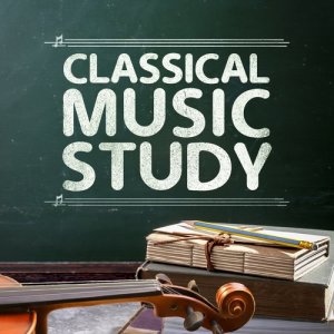 收聽Cristina Ortiz的Piano Concerto No. 18 in B-Flat Major, K. 456: II. Andante un poco sostenuto歌詞歌曲