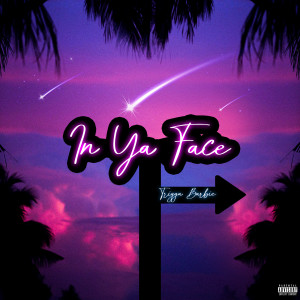 Dengarkan In Ya Face (Explicit) lagu dari Trigga Barbie dengan lirik