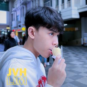 Dengarkan oh why lagu dari JVH LIM dengan lirik