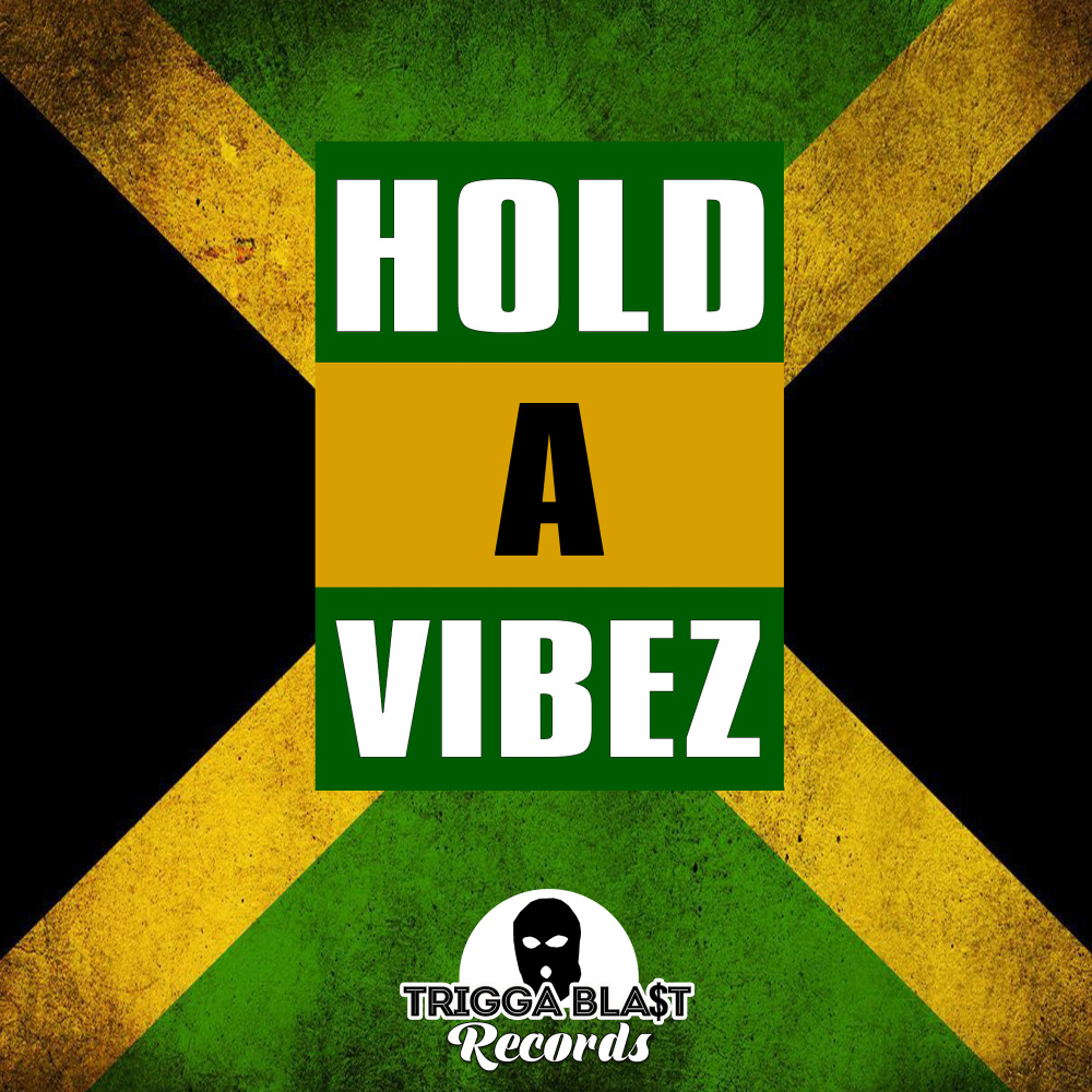 Hold a Vibez
