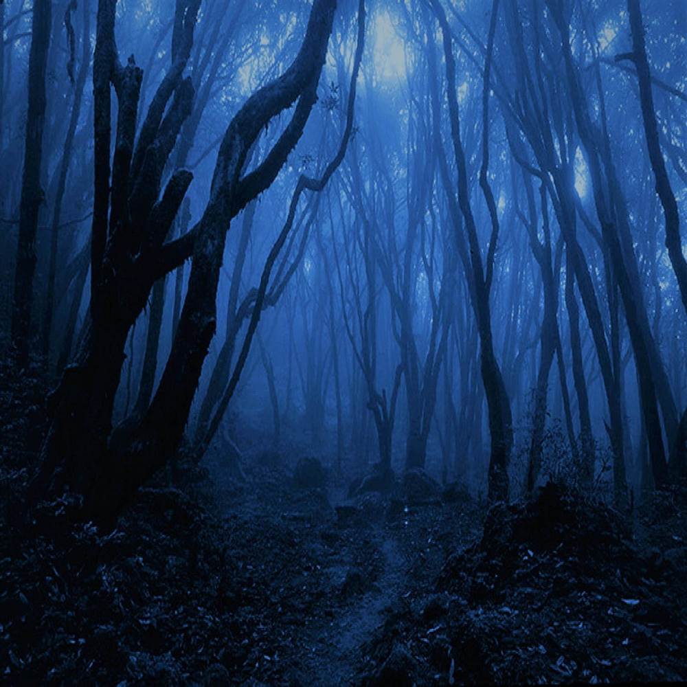 Mist