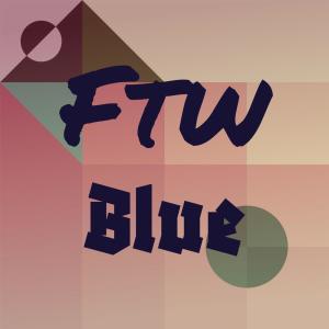 Various Artists的專輯Ftw Blue