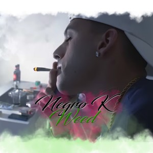 ดาวน์โหลดและฟังเพลง Weed พร้อมเนื้อเพลงจาก Negro K