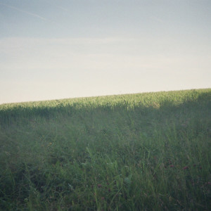 Album The Dust from Linus Schafer