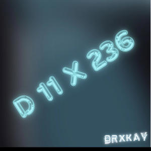 DrxKay的專輯D 11 X 236