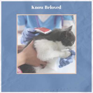 Listen to Know Beloved song with lyrics from Dhang Koldo