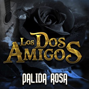 收聽Los Dos Amigos的Corrido de José Serrano歌詞歌曲