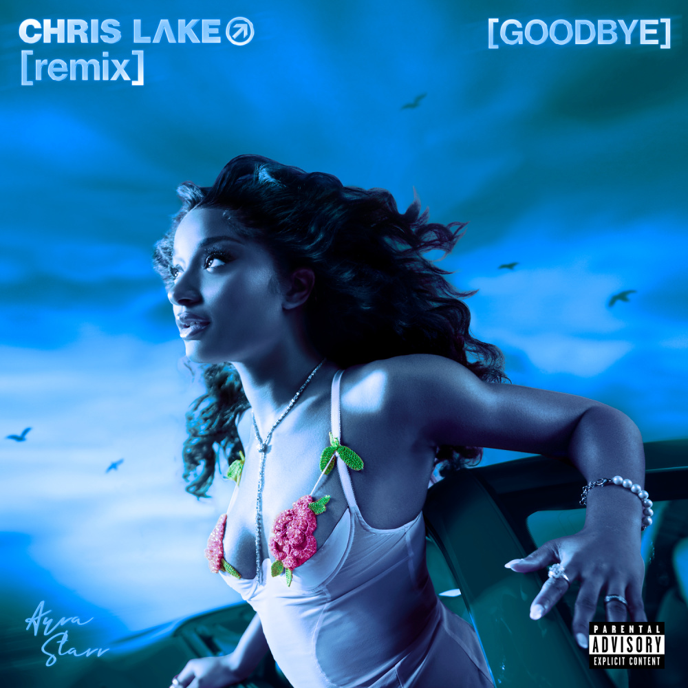 Goodbye (Warm Up) (Chris Lake Remix|Explicit)