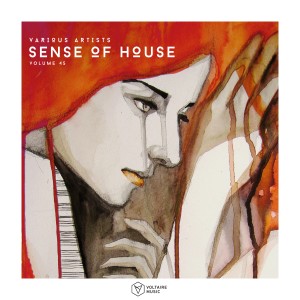 Various Artists的专辑Sense Of House, Vol. 45