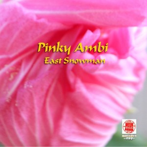 ดาวน์โหลดและฟังเพลง Framingo Symphony พร้อมเนื้อเพลงจาก East Snowman