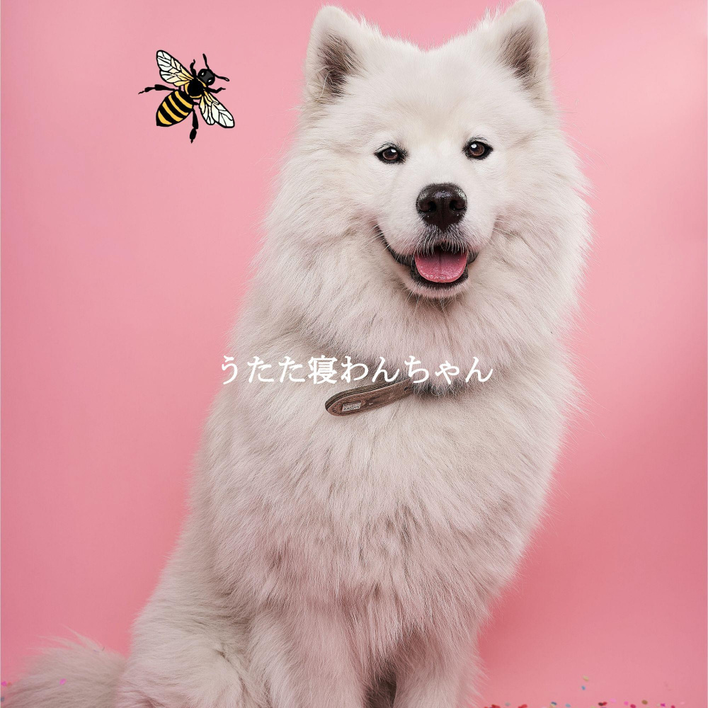 Cheerful Backdrops for A Peaceful Gaze