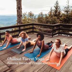 Yoga Flow的专辑Chillout Forest Yoga: Relaxing Sounds of Cicadas and Insects