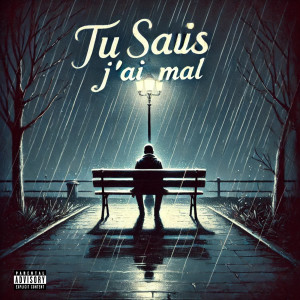 Listen to Tu sais j’ai mal (Explicit) song with lyrics from Gid