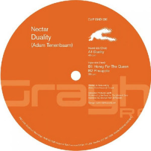 ดาวน์โหลดและฟังเพลง Duality พร้อมเนื้อเพลงจาก Nectar