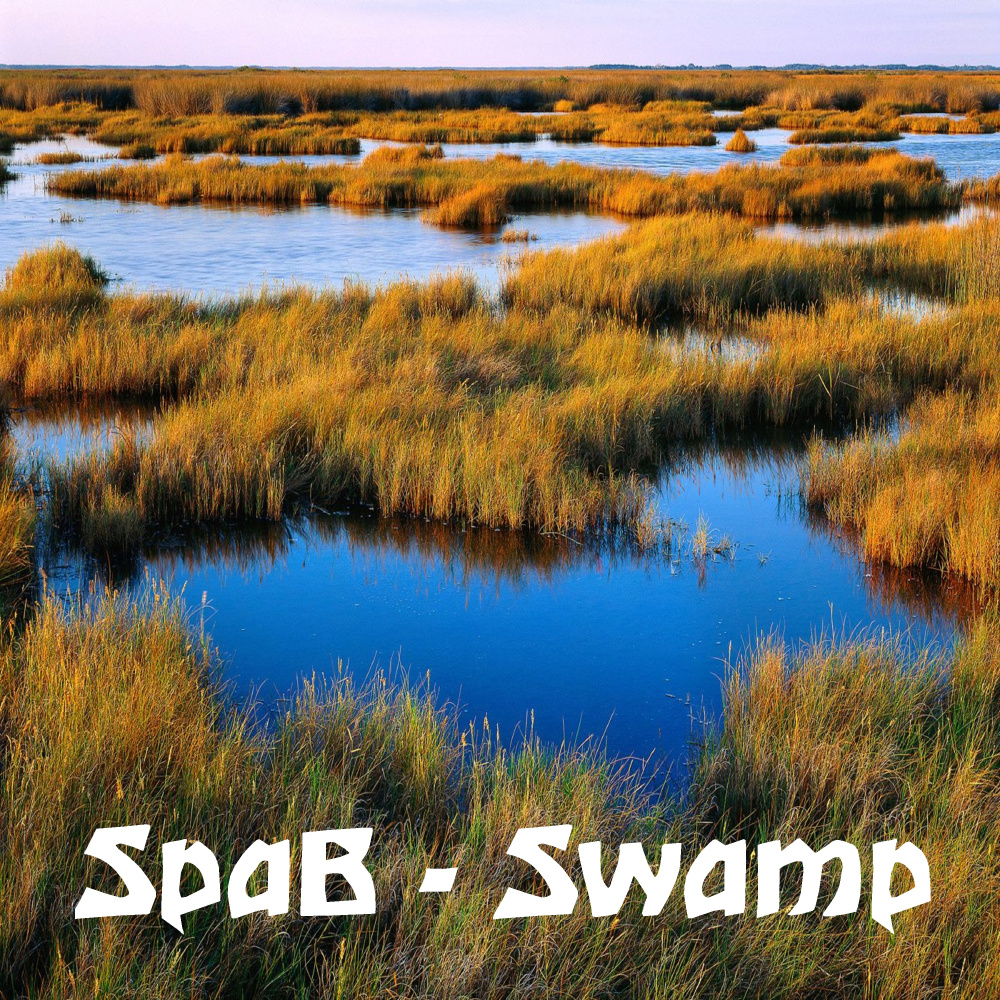 Swamp