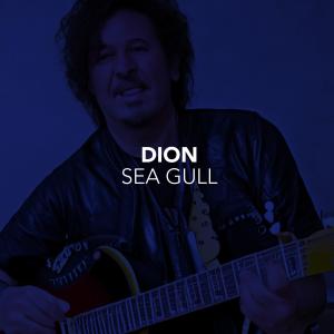 Dion的專輯Sea Gull