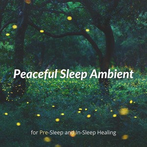 Sleep Music α的專輯Peaceful Sleep Ambient for Pre-Sleep and In-Sleep Healing