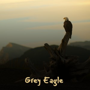 Dengarkan Everything Is Beautiful lagu dari Ray Stevens dengan lirik