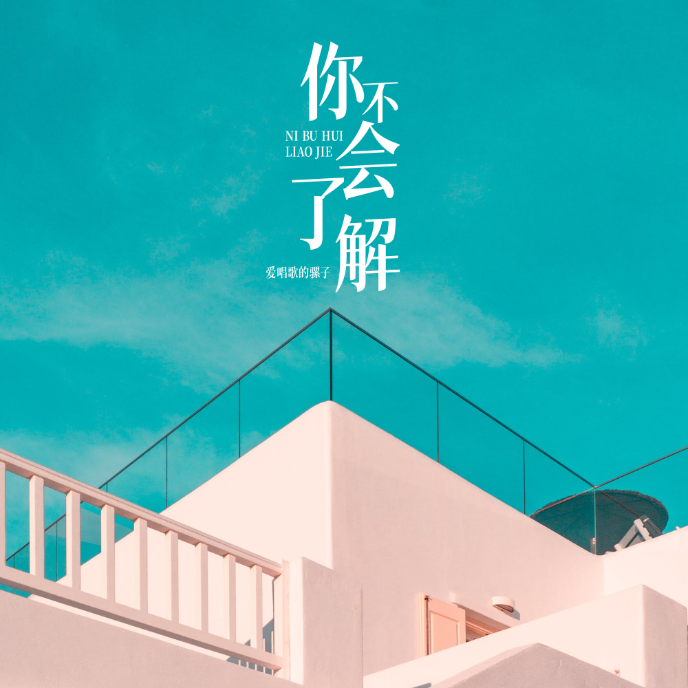 你不会了解 (伴奏)