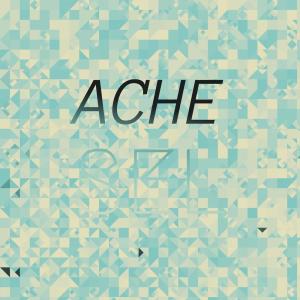 Album Ache Sel from Various