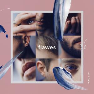 ดาวน์โหลดและฟังเพลง Don't Count Me Out พร้อมเนื้อเพลงจาก Flawes