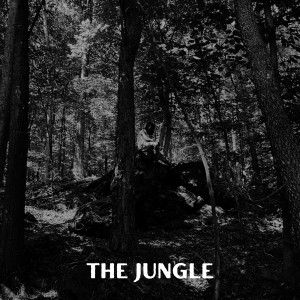 Listen to The Jungle (Explicit) song with lyrics from SkipTwn