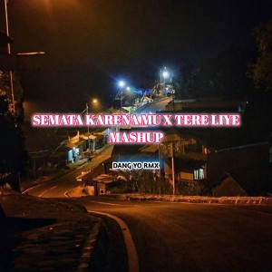 Listen to SEMATA KARENA MU / TERE LIYE MASHUP song with lyrics from DANG YO RMX