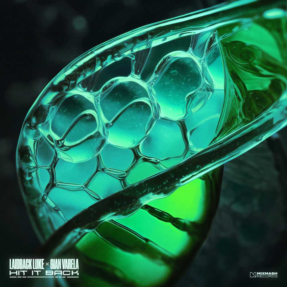 Hit It Back (Extended Mix)