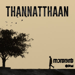 收聽DJ Sekhar的Thannatthaan (From "Naradan")歌詞歌曲